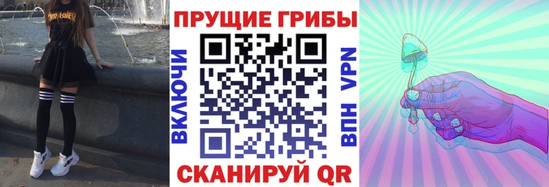 Псилоцибиновые грибы мицелий  Бузулук 